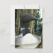 Loon Wilderness Save The Date (Vorderseite)