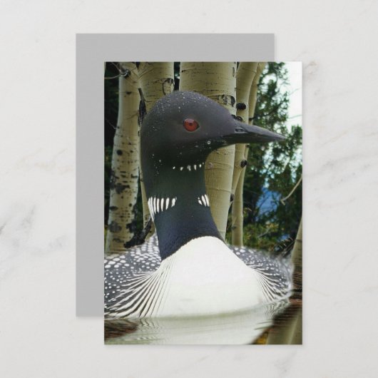 Loon Wilderness Save The Date (Vorne/Hinten)