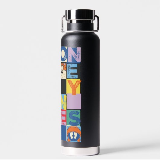 LOONEY TUNES™ Character Schachbrett Blocks Trinkflasche (Rückseite)