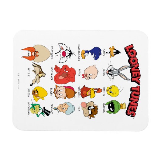 LOONEY TUNES™ Headshots Magnet (Horizontal)