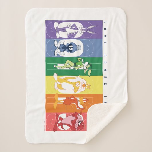 LOONEY TUNES™ - Liebe kommt in allen Farben Sherpadecke (Vorderseite)