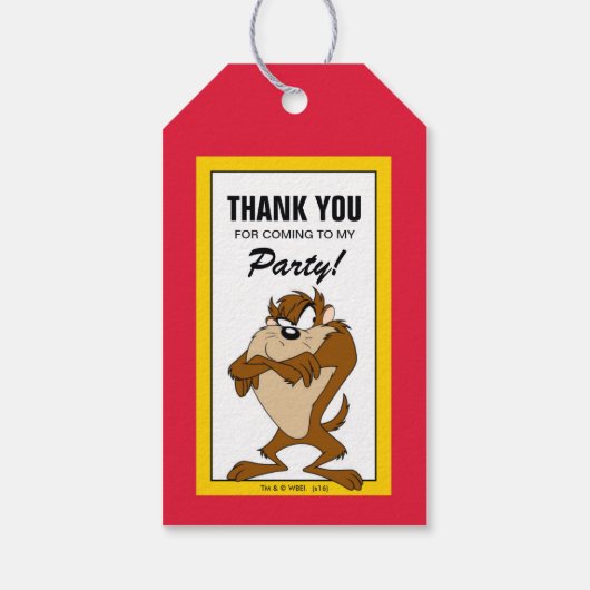 LOONEY TUNES™ Marvin & Taz | Geburtstag Geschenkanhänger (Rückseite)