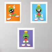 LOONEY TUNES™ MARVIN THE MARTIAN™ BILDERWAND SETS (Vorderseite)