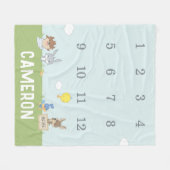 LOONEY TUNES™ | Monatsmilestone Baby Fleecedecke (Vorderseite (Horizontal))