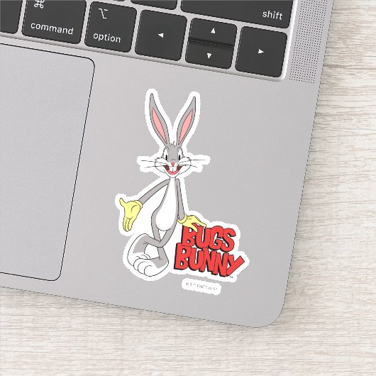 LOONEY TUNES™ Retro-Lachen | BUGS BUNNY™ Aufkleber (Detail)