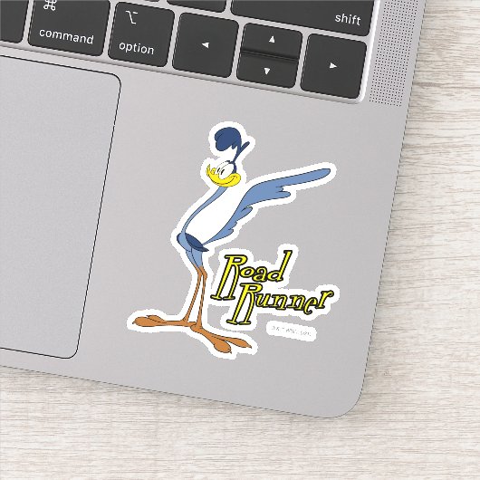 LOONEY TUNES™ Retro-Lachen | ROAD RUNNER™ Aufkleber (Detail)