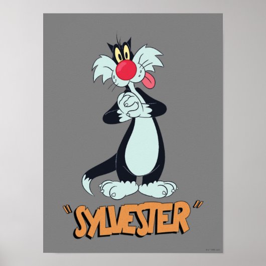 LOONEY TUNES™ Retro-Lachen | SYLVESTER™ Poster (Vorne)
