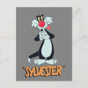 LOONEY TUNES™ Retro-Lachen   SYLVESTER™ Postkarte