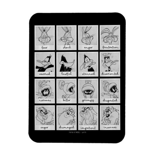 LOONEY TUNES™ Zeichentabelle Magnet (Vertikal)