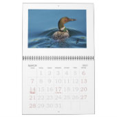 Loons auf dem Rideau Kalender (Mär 2027)