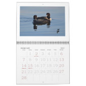 Loons auf dem Rideau Kalender (Feb 2027)