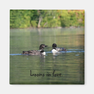 Loons im Liebemagneten Magnet