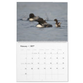 Loons & Loonlets (Babyloons) Kalender (Feb 2027)