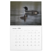 Loons & Loonlets (Babyloons) Kalender (Jan 2026)