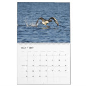 Loons & Loonlets (Babyloons) Kalender (Mär 2027)