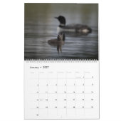 Loons & Loonlets (Babyloons) Kalender (Jan 2027)