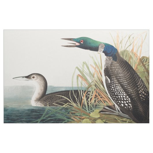 Loons (Nordtaucher) durch John James Audubon Stoff (Yard (91,4 cm))