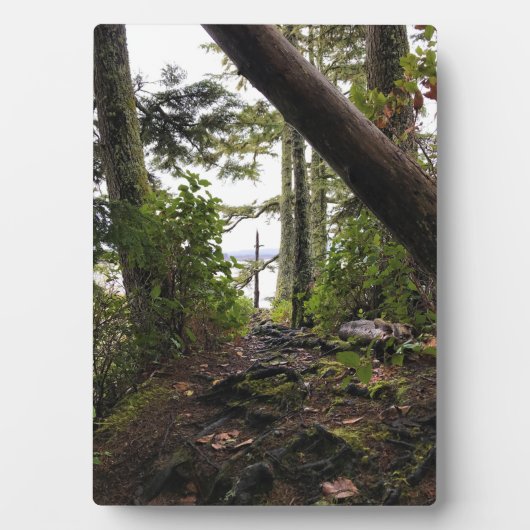 Loop Trail, Cape Enttäuschung, WA Fotoplatte (Vorderseite)