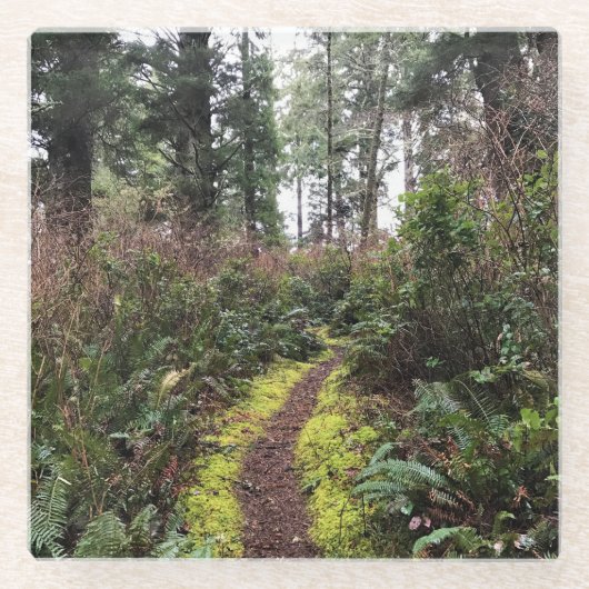 Loop Trail, Cape Enttäuschung, WA Glasuntersetzer (Vorderseite)