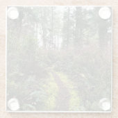 Loop Trail, Cape Enttäuschung, WA Glasuntersetzer (Rückseite)