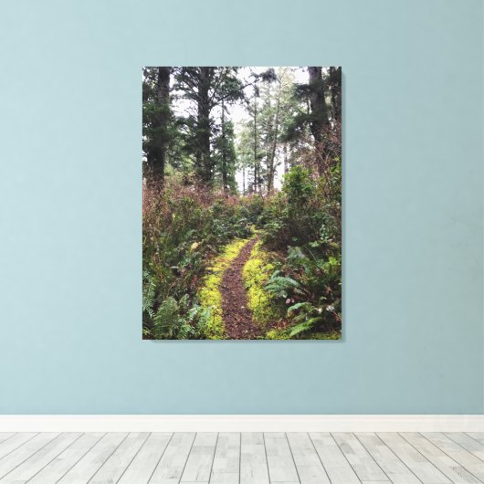 Loop Trail, Cape Enttäuschung, WA Leinwanddruck (Insitu (Holzboden))