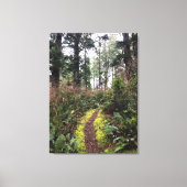 Loop Trail, Cape Enttäuschung, WA Leinwanddruck (Vorderseite)