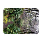 Loop Trail, Cape Enttäuschung, WA Magnet (Horizontal)