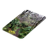 Loop Trail, Cape Enttäuschung, WA Magnet (Linke Seite)