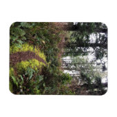 Loop Trail, Cape Enttäuschung, WA Magnet (Horizontal)