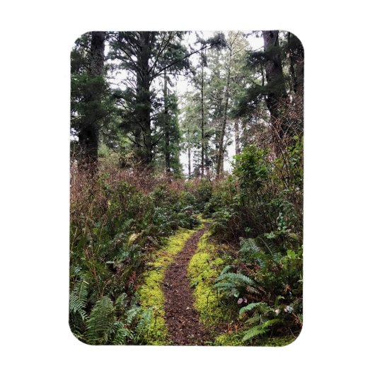 Loop Trail, Cape Enttäuschung, WA Magnet (Vertikal)