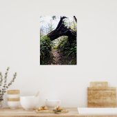 Loop Trail, Cape Enttäuschung, WA Poster (Küche)