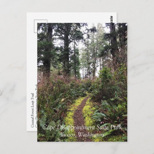 Loop Trail, Cape Enttäuschung, WA Postkarte (Vorne/Hinten)