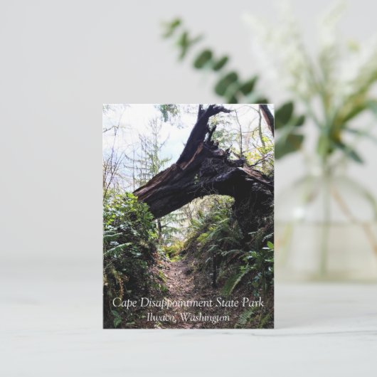 Loop Trail, Cape Enttäuschung, WA Postkarte (Stehend Vorderseite)