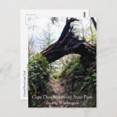 Loop Trail, Cape Enttäuschung, WA Postkarte (Vorne/Hinten)