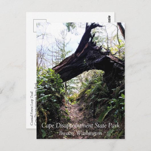 Loop Trail, Cape Enttäuschung, WA Postkarte (Vorne/Hinten)