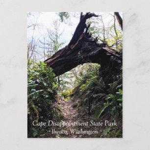 Loop Trail, Cape Enttäuschung, WA Postkarte