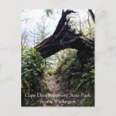Loop Trail, Cape Enttäuschung, WA Postkarte (Vorderseite)