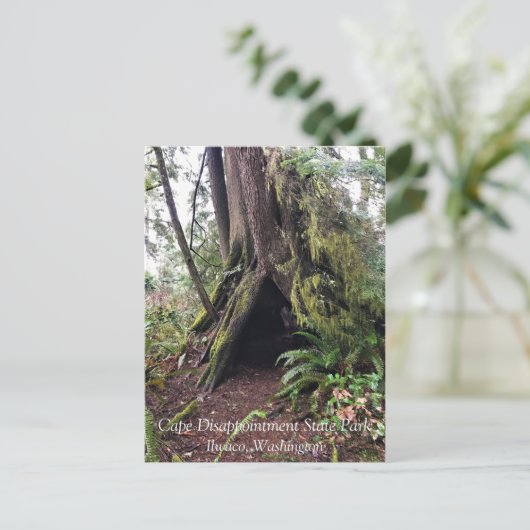 Loop Trail, Cape Enttäuschung, WA Postkarte (Stehend Vorderseite)