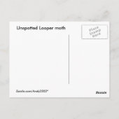 Looper moth ~ Postkarte (Rückseite)