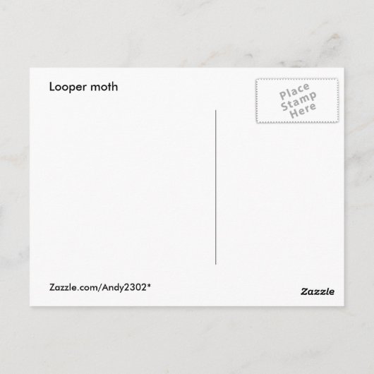 Looper Moth ~ Postkarte (Rückseite)