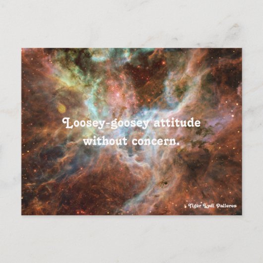Loosey-goosey Postkarte (Vorderseite)