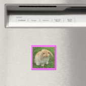 Lop Bunny Magnet (In Situ (Geschirrspüler))