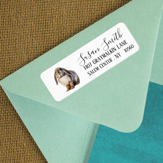 Lop Bunny Script-Adresse