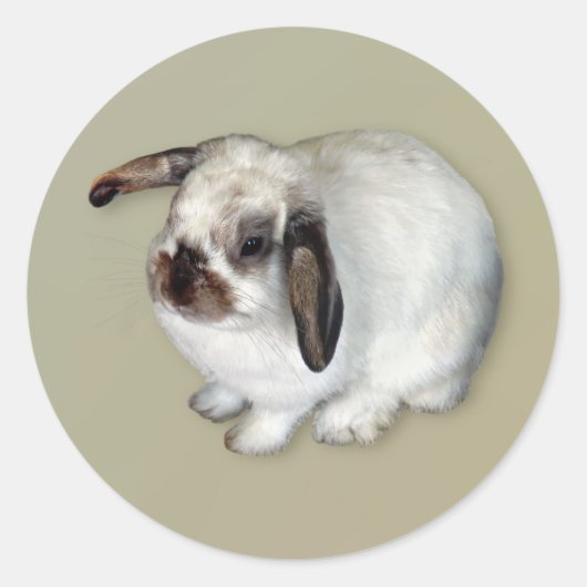 Lop-Eared Bunny Runder Aufkleber (Vorderseite)