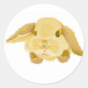 Lop Eared Bunny Runder Aufkleber