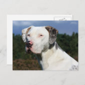 Lopardin Postkarte (Vorne/Hinten)