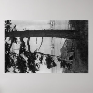 Lopez Island, WA - Fischerboote in der Bucht Poster