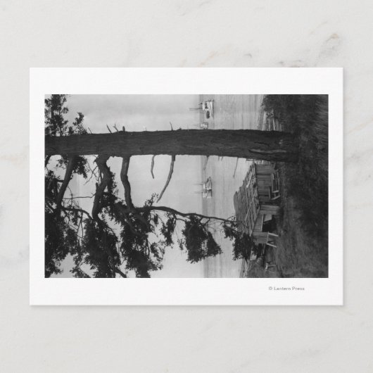 Lopez Island, WA - Fischerboote in der Bucht Postkarte (Vorderseite)