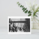 Lopez Island, WA - Fischerboote in der Bucht Postkarte (Stehend Vorderseite)