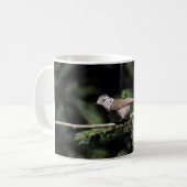 Lophanes cristatus kaffeetasse (Vorderseite Links)